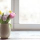 Tulpen in der Vase länger frisch halten - die besten Tipps