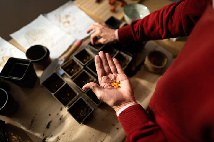 Vorgehensweise bei der Aussaat