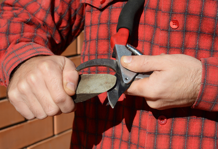 Wie Sie beim Schleifen der Grasschere vorgehen sollten