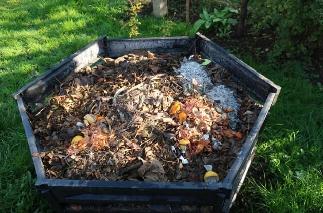 Asche auf dem Kompost entsorgen - ist das sinnvoll