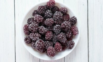 Brombeeren einfrieren - Tipps und Tricks