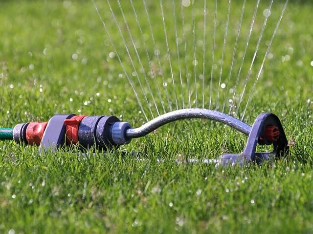 Rasen bei Hitze bewässern - wie oft und wie lange