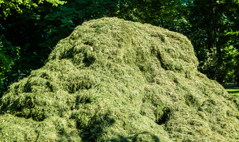 Was ist Rasen-Bokashi