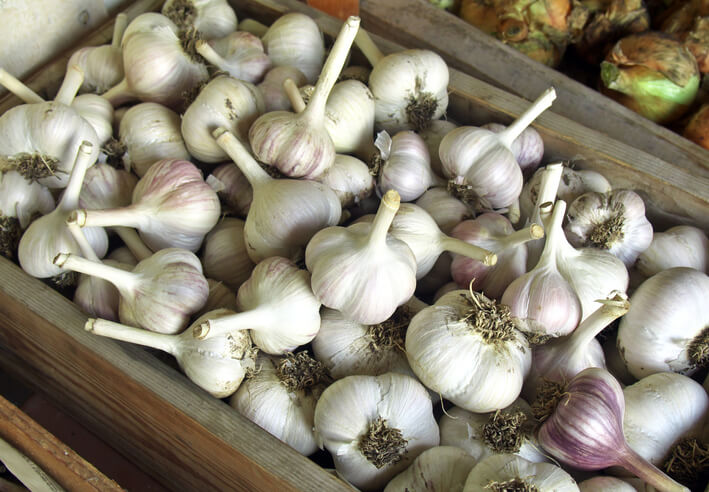 Welche Voraussetzungen muss Knoblauch für die Einlagerung erfüllen