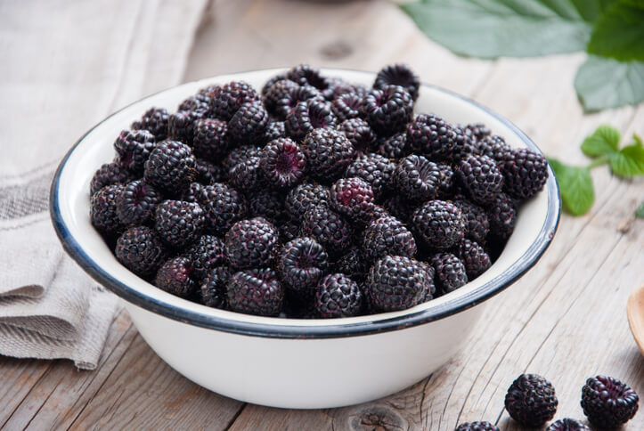 Antioxidative Wirkung