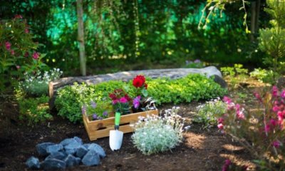 Blumenbeet selber bauen - tolle Ideen und Inspirationen