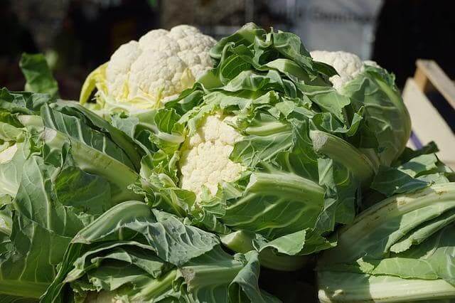 Blumenkohl lagern und haltbar machen - so gelingt es Ihnen