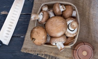 Champignons schälen - Tipps und Tricks