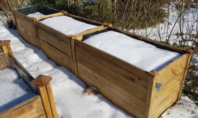 Das Hochbeet im Winter pflegen