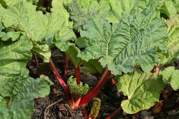 Den idealen Standort wählen