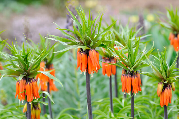 Der optimale Standort