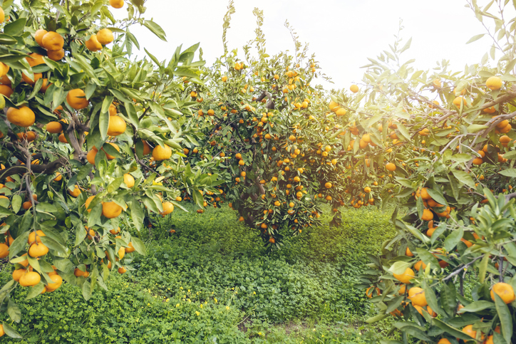 Der richtige Standort