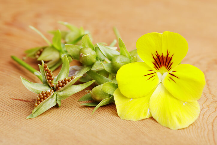 Die Aussaat im Frühjahr