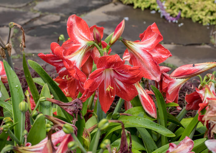 Die richtige Pflege im Herbst und Winter