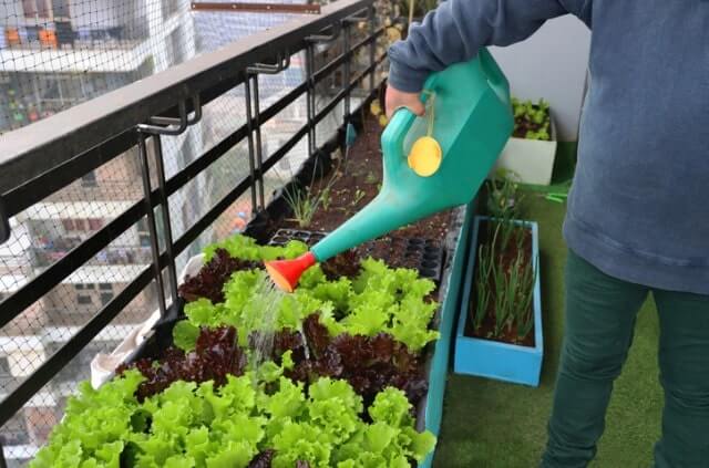 Ein Mini-Gemüsebeet auf dem Balkon selber bauen