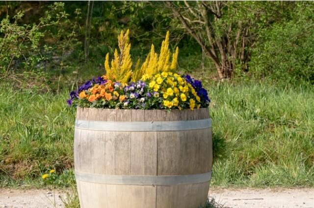 Ein Weinfass bepflanzen - kreative Ideen und Anleitung