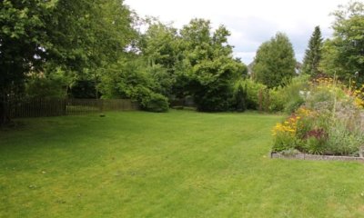 Eine Wiese im Garten neu anlegen