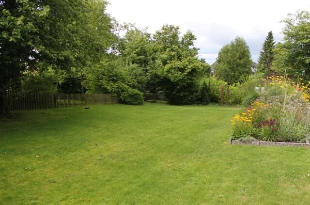 Eine Wiese im Garten neu anlegen