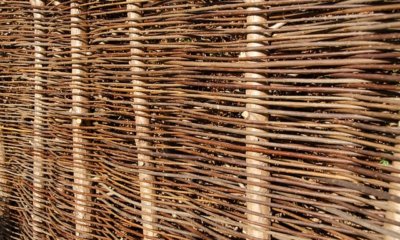 Einen Sichtschutz selber flechten - Materialien und Tipps