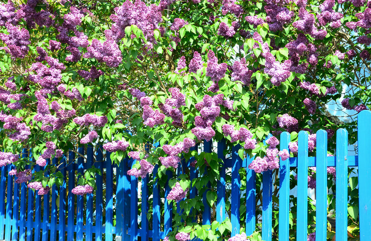 Falscher Standort im Freien