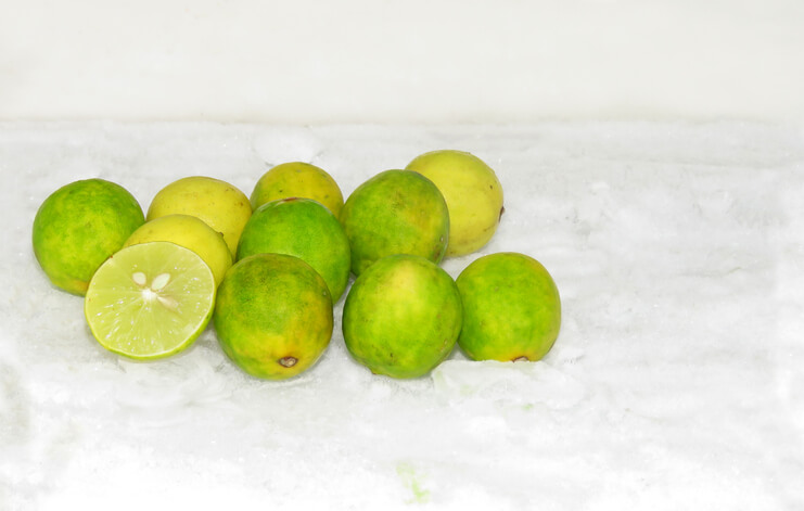 Limetten im Kühlschrank lagern