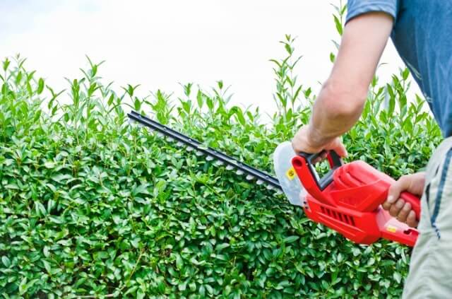 Heckenschere richtig reinigen und schärfen