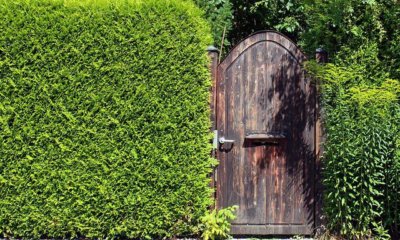 Hoher Sichtschutz für den Garten - Ideen und Inspirationen