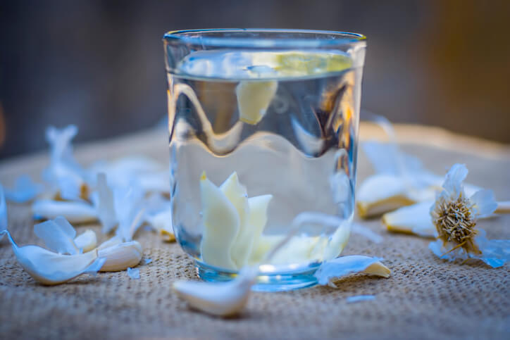 Knoblauch gegen Blattläuse