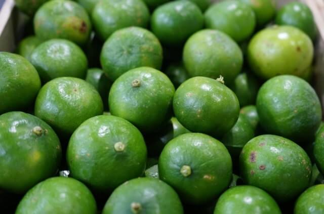 Limetten richtig lagern und haltbar machen - so gelingt es Ihnen
