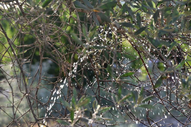 Mit Wasser abwaschen