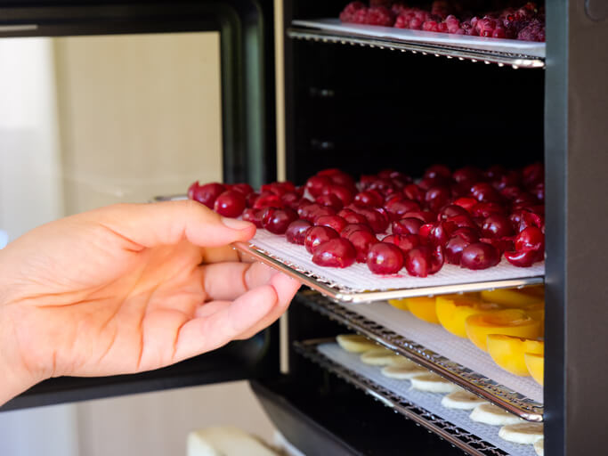 Obst oder Beeren zum Essen trocknen