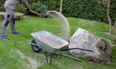 Rasen aerifizieren und sanden - Zeitpunkt und Häufigkeit