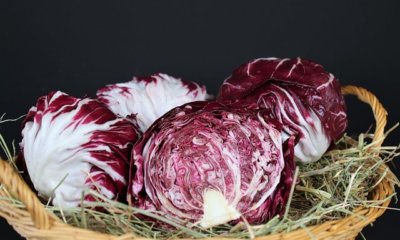 Rotkohl im Kühlschrank oder Keller lagern - so funktioniert´s
