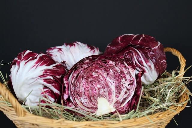 Rotkohl im Kühlschrank oder Keller lagern - so funktioniert´s