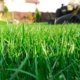 Unebene Wiese begradigen - so funktioniert es!