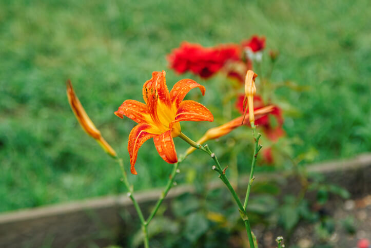 Vor der Überwinterung
