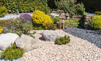 Vorgarten mit Steinen und Gräsern gestalten - interessante Ideen