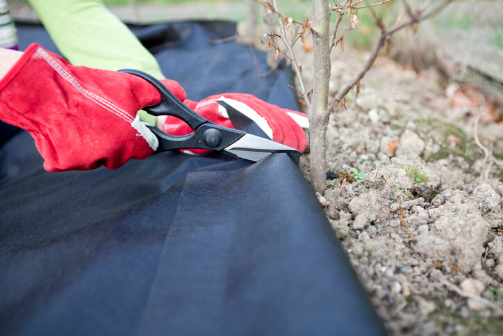 Welche Abdeckung sollte im Winter genutzt werden