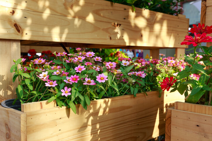 Wie baue ich ein Hochbeet