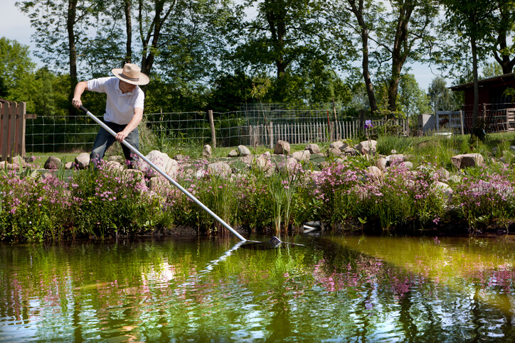 Erste Hilfe, um Algen im Schwimmteich zu bekämpfen