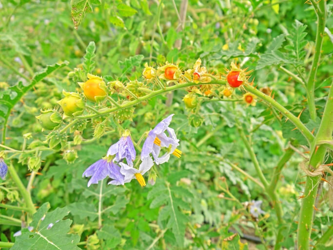 Der passende Standort