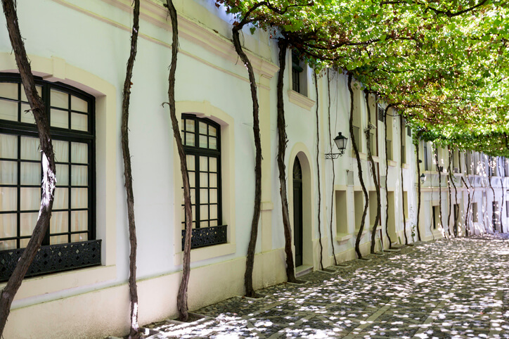 Die Weinlaube erschafft stimmungsvolles Flair