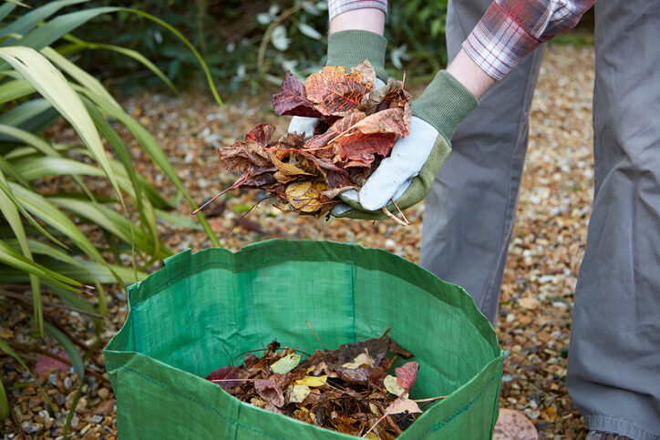 So kompostieren Sie Blätter Tipps für einen erfolgreichen Start