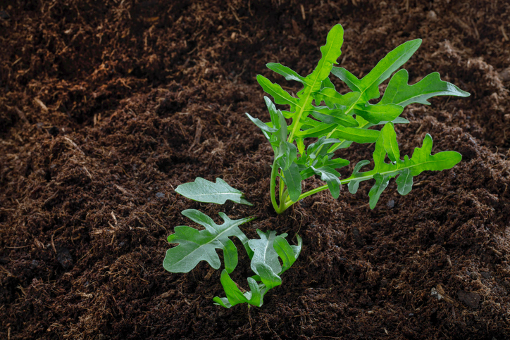Ansprüche an den Boden