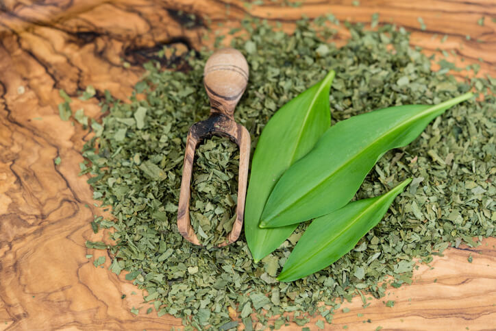 Bärlauch richtig trocknen