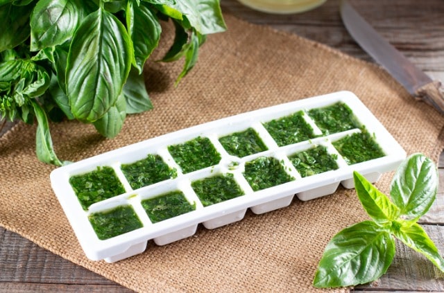 Basilikum lange haltbar machen