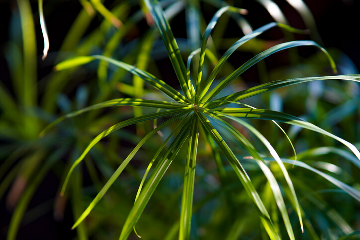 Der optimale Standort im Innenraum
