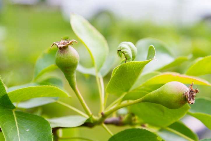 Der richtige Standort