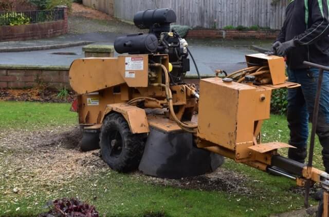 Eine Baumwurzel fräsen - Tipps und Kosten