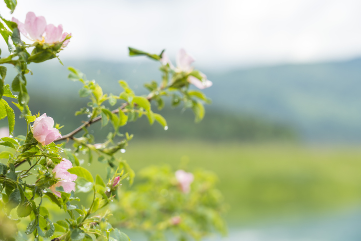 Gießen - das richtige Maß